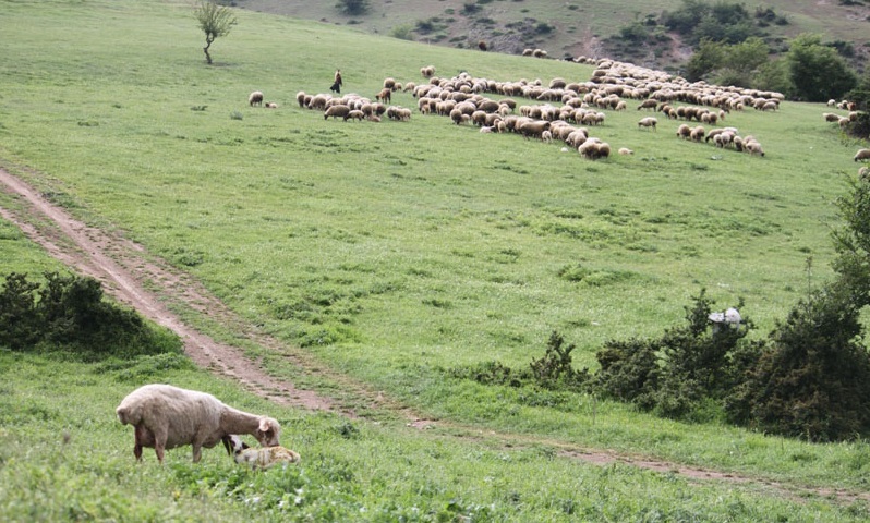 روستای جوبن، جوبن شهرستان رودبار، جوبن گیلان،جوبن رستم آباد، روستای جوکین، جوبن کجاست؟ 